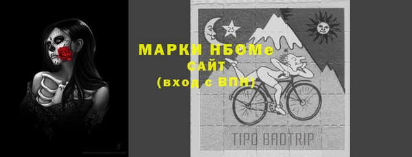 эйфоретик Алзамай