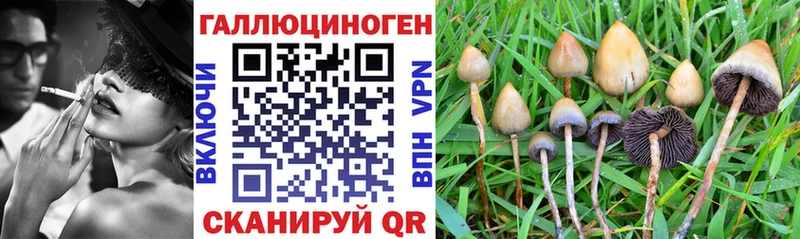 Псилоцибиновые грибы GOLDEN TEACHER  купить наркотик  Аргун 