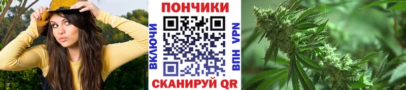 Шишки марихуана SATIVA & INDICA  где купить наркоту  Аргун 